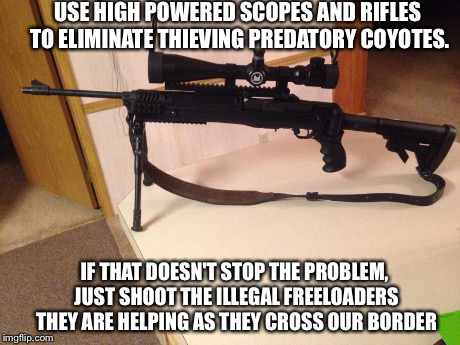 Illegal Aliens | USE HIGH POWERED SCOPES AND RIFLES TO ELIMINATE THIEVING PREDATORY COYOTES. IF THAT DOESN'T STOP THE PROBLEM, JUST SHOOT THE ILLEGAL FREELOA | image tagged in back in my day | made w/ Imgflip meme maker