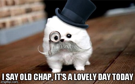 I say  | I SAY OLD CHAP, IT'S A LOVELY DAY TODAY | image tagged in memes,funny memes,comedy,dogs,too funny,mustache | made w/ Imgflip meme maker