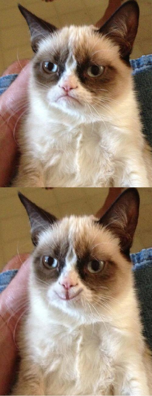 Grumpy Cat 2x Smile Blank Meme Template