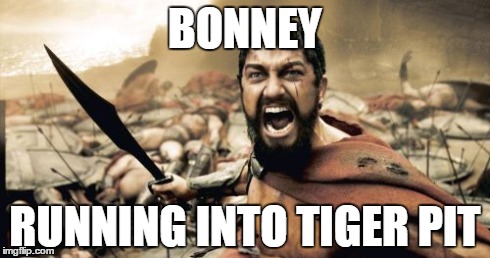 Sparta Leonidas Meme | BONNEY RUNNING INTO TIGER PIT | image tagged in memes,sparta leonidas | made w/ Imgflip meme maker