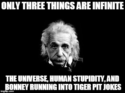 Albert Einstein 1 Meme | ONLY THREE THINGS ARE INFINITE THE UNIVERSE, HUMAN STUPIDITY, AND BONNEY RUNNING INTO TIGER PIT JOKES | image tagged in memes,albert einstein 1 | made w/ Imgflip meme maker