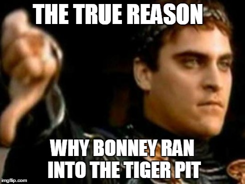 Downvoting Roman Meme | THE TRUE REASON WHY BONNEY RAN INTO THE TIGER PIT | image tagged in memes,downvoting roman | made w/ Imgflip meme maker