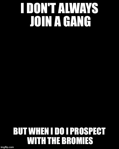 The Most Interesting Man In The World Meme | I DON'T ALWAYS JOIN A GANG BUT WHEN I DO I PROSPECT WITH THE BROMIES | image tagged in memes,the most interesting man in the world | made w/ Imgflip meme maker