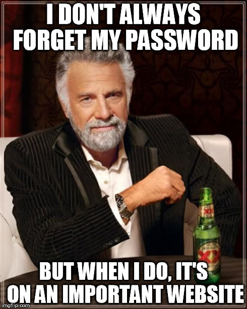 The Most Interesting Man In The World Meme | I DON'T ALWAYS FORGET MY PASSWORD BUT WHEN I DO, IT'S ON AN IMPORTANT WEBSITE | image tagged in memes,the most interesting man in the world | made w/ Imgflip meme maker