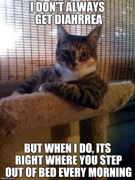 The Most Interesting Cat In The World | I DON'T ALWAYS GET DIAHRREA BUT WHEN I DO, ITS RIGHT WHERE YOU STEP OUT OF BED EVERY MORNING | image tagged in memes,the most interesting cat in the world | made w/ Imgflip meme maker