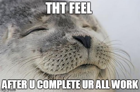Satisfied Seal | THT FEEL AFTER U COMPLETE UR ALL WORK | image tagged in memes,satisfied seal | made w/ Imgflip meme maker