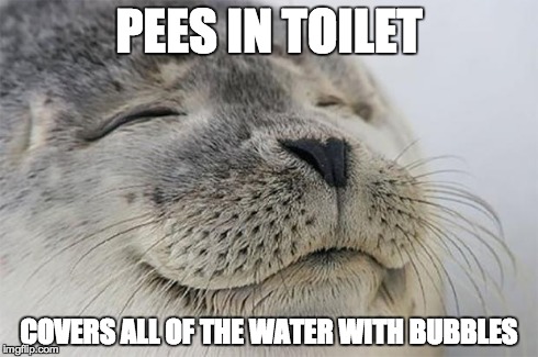 Satisfied Seal Meme | PEES IN TOILET COVERS ALL OF THE WATER WITH BUBBLES | image tagged in memes,satisfied seal | made w/ Imgflip meme maker