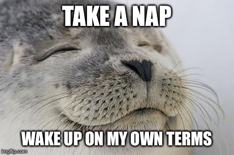 Satisfied Seal Meme | TAKE A NAP WAKE UP ON MY OWN TERMS | image tagged in memes,satisfied seal,AdviceAnimals | made w/ Imgflip meme maker