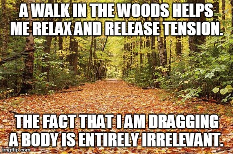 image tagged in woods,funny | made w/ Imgflip meme maker