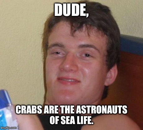 10 Guy | DUDE, CRABS ARE THE ASTRONAUTS OF SEA LIFE. | image tagged in memes,10 guy,AdviceAnimals | made w/ Imgflip meme maker