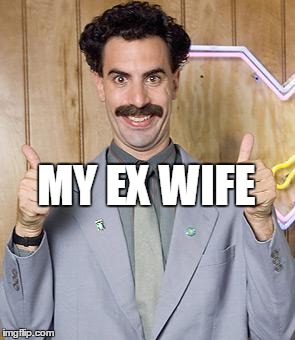 MY EX WIFE | image tagged in sdrvfswer | made w/ Imgflip meme maker