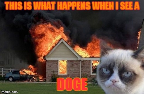 Burn Kitty Meme | THIS IS WHAT HAPPENS WHEN I SEE A DOGE | image tagged in memes,burn kitty | made w/ Imgflip meme maker