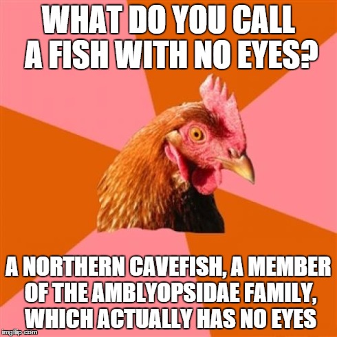 Anti Joke Chicken Meme | WHAT DO YOU CALL A FISH WITH NO EYES? A NORTHERN CAVEFISH, A MEMBER OF THE AMBLYOPSIDAE FAMILY, WHICH ACTUALLY HAS NO EYES | image tagged in memes,anti joke chicken | made w/ Imgflip meme maker