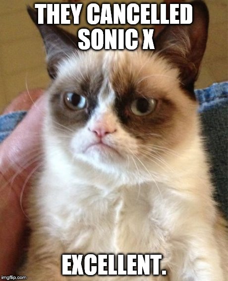 Grumpy Cat Meme | THEY CANCELLED SONIC X EXCELLENT. | image tagged in memes,grumpy cat | made w/ Imgflip meme maker