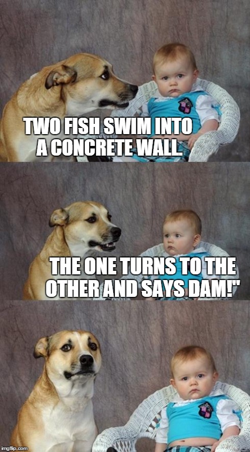 Dad Joke Dog | TWO FISH SWIM INTO A CONCRETE WALL. THE ONE TURNS TO THE OTHER AND SAYS DAM!" | image tagged in memes,dad joke dog | made w/ Imgflip meme maker