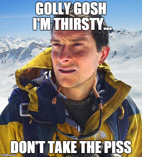 Bear Grylls | GOLLY GOSH I'M THIRSTY... DON'T TAKE THE PISS | image tagged in memes,bear grylls | made w/ Imgflip meme maker