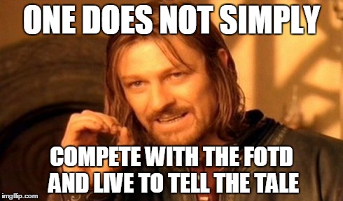 One Does Not Simply Meme | ONE DOES NOT SIMPLY COMPETE WITH THE FOTD AND LIVE TO TELL THE TALE | image tagged in memes,one does not simply | made w/ Imgflip meme maker