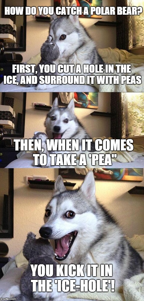 It sounds better when you say it out loud XD | FIRST, YOU CUT A HOLE IN THE ICE, AND SURROUND IT WITH PEAS THEN, WHEN IT COMES TO TAKE A 'PEA" YOU KICK IT IN THE 'ICE-HOLE'! HOW DO YOU CA | image tagged in memes,bad pun dog,polar bear,frozen,pea,dog | made w/ Imgflip meme maker