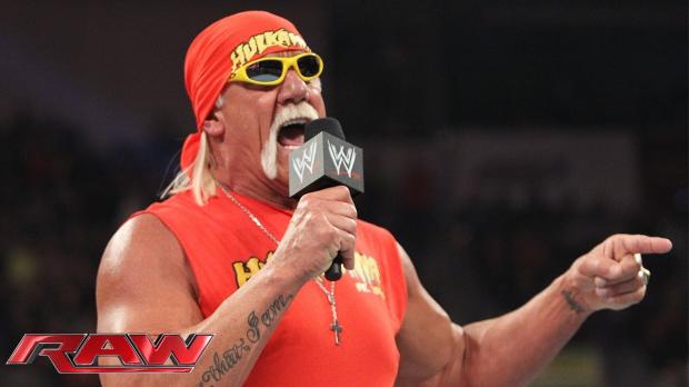 High Quality Hulkster and the WWE universe Blank Meme Template