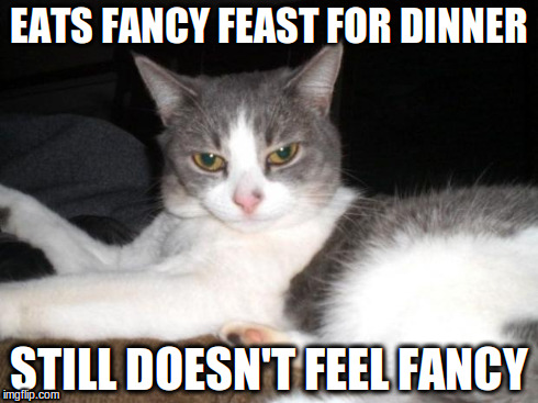 Impatient Kitty | EATS FANCY FEAST FOR DINNER STILL DOESN'T FEEL FANCY | image tagged in impatient kitty | made w/ Imgflip meme maker
