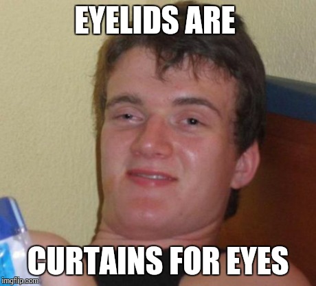 10 Guy | EYELIDS ARE CURTAINS FOR EYES | image tagged in memes,10 guy | made w/ Imgflip meme maker