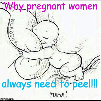 Pregnant  women's needs | Why pregnant women always need to pee!!!! | image tagged in pregnant,babies | made w/ Imgflip meme maker