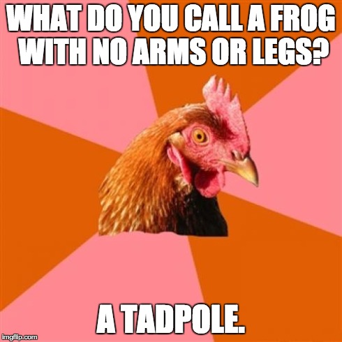 What? | WHAT DO YOU CALL A FROG WITH NO ARMS OR LEGS? A TADPOLE. | image tagged in memes,anti joke chicken | made w/ Imgflip meme maker