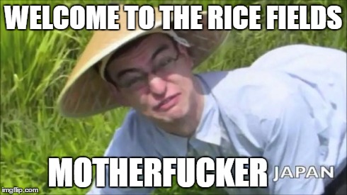 Welcome To The Rice Fields Motherfucker | WELCOME TO THE RICE FIELDS MOTHERF**KER | image tagged in welcome to the rice fields motherfucker,filthy frank,filthy frank show,motherfucker,welcome,tvfilthyfrank | made w/ Imgflip meme maker