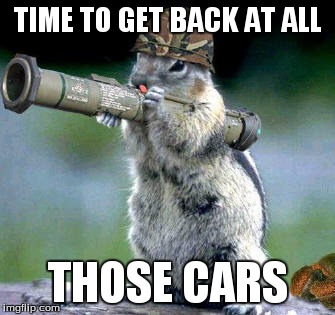 Bazooka Squirrel | TIME TO GET BACK AT ALL THOSE CARS | image tagged in memes,bazooka squirrel | made w/ Imgflip meme maker