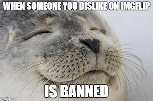 Yes .... :] | WHEN SOMEONE YOU DISLIKE ON IMGFLIP IS BANNED | image tagged in memes,satisfied seal | made w/ Imgflip meme maker