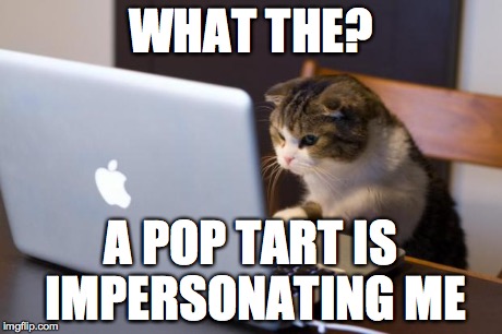 Cat using computer | WHAT THE? A POP TART IS IMPERSONATING ME | image tagged in cat using computer | made w/ Imgflip meme maker
