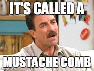 Mustache Comb | IT'S CALLED A MUSTACHE COMB | image tagged in tom selleck,friends | made w/ Imgflip meme maker
