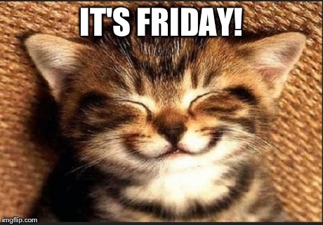 Friday Feeling | IT'S FRIDAY! | image tagged in friday | made w/ Imgflip meme maker
