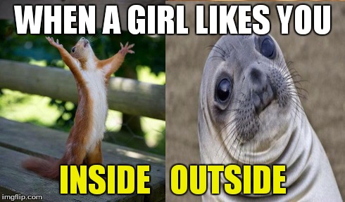 Double Whammy Meme | WHEN A GIRL LIKES YOU INSIDE   OUTSIDE | image tagged in squirrel,awkward moment sealion | made w/ Imgflip meme maker