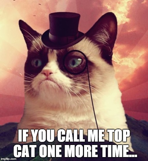 Grumpy Cat Top Hat Meme | IF YOU CALL ME TOP CAT ONE MORE TIME... | image tagged in memes,grumpy cat top hat,grumpy cat | made w/ Imgflip meme maker