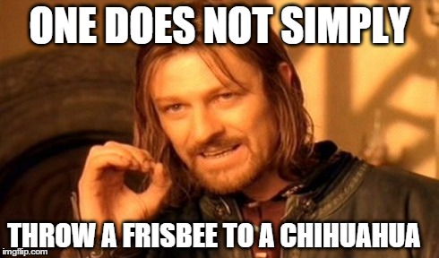 One Does Not Simply Meme | ONE DOES NOT SIMPLY THROW A FRISBEE TO A CHIHUAHUA | image tagged in memes,one does not simply | made w/ Imgflip meme maker