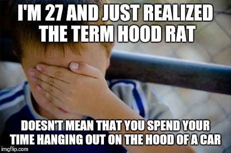 Confession Kid | I'M 27 AND JUST REALIZED THE TERM HOOD RAT DOESN'T MEAN THAT YOU SPEND YOUR TIME HANGING OUT ON THE HOOD OF A CAR | image tagged in memes,confession kid | made w/ Imgflip meme maker
