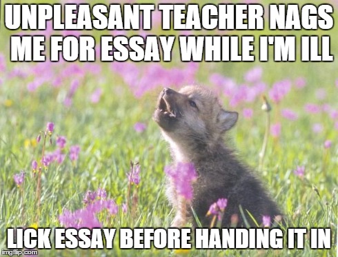 Baby Insanity Wolf Meme | UNPLEASANT TEACHER NAGS ME FOR ESSAY WHILE I'M ILL LICK ESSAY BEFORE HANDING IT IN | image tagged in memes,baby insanity wolf,AdviceAnimals | made w/ Imgflip meme maker