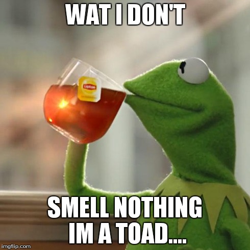 But That's None Of My Business Meme | WAT I DON'T SMELL NOTHING IM A TOAD.... | image tagged in memes,but thats none of my business,kermit the frog | made w/ Imgflip meme maker