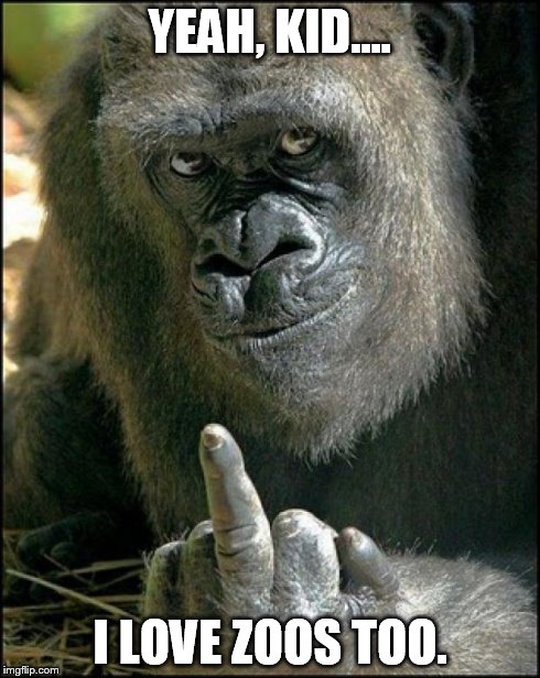 Gorilla Sushi Says | YEAH, KID.... I LOVE ZOOS TOO. | image tagged in gorilla sushi says | made w/ Imgflip meme maker