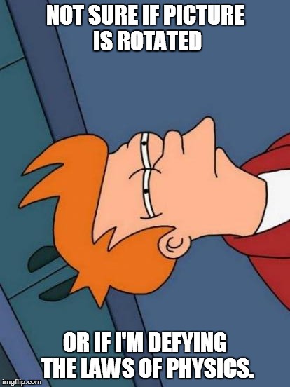 Up is down, and down is right | NOT SURE IF PICTURE IS ROTATED OR IF I'M DEFYING THE LAWS OF PHYSICS. | image tagged in memes,futurama fry,funny,altered,portrait | made w/ Imgflip meme maker