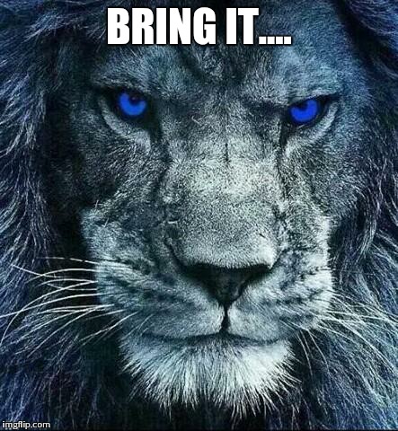 detroit lions | BRING IT.... | image tagged in detroit lions | made w/ Imgflip meme maker