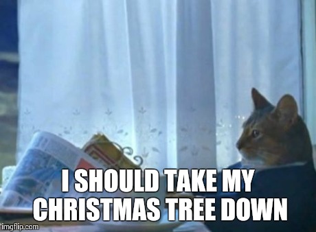 I Should Buy A Boat Cat | I SHOULD TAKE MY CHRISTMAS TREE DOWN | image tagged in memes,i should buy a boat cat,AdviceAnimals | made w/ Imgflip meme maker