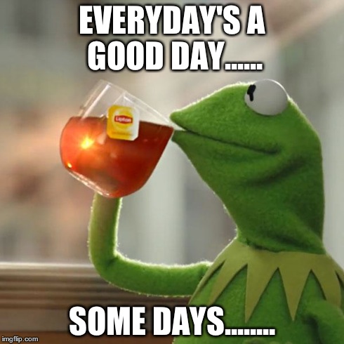 But That's None Of My Business Meme | EVERYDAY'S A GOOD DAY...... SOME DAYS........ | image tagged in memes,but thats none of my business,kermit the frog | made w/ Imgflip meme maker