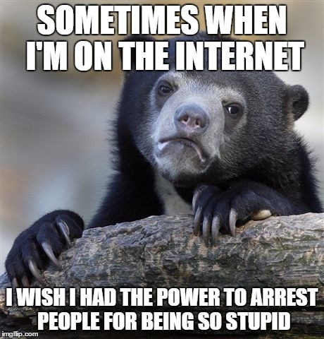 Confession Bear | SOMETIMES WHEN I'M ON THE INTERNET I WISH I HAD THE POWER TO ARREST PEOPLE FOR BEING SO STUPID | image tagged in memes,confession bear | made w/ Imgflip meme maker