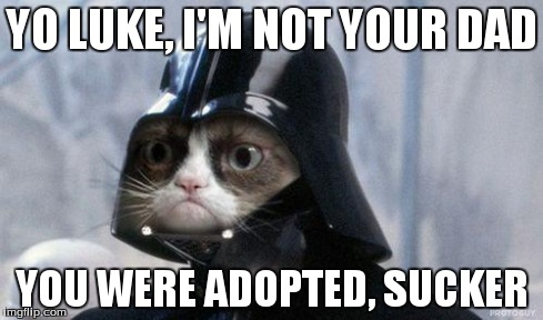 Grumpy Cat Star Wars Meme | YO LUKE, I'M NOT YOUR DAD YOU WERE ADOPTED, SUCKER | image tagged in memes,grumpy cat star wars,grumpy cat | made w/ Imgflip meme maker