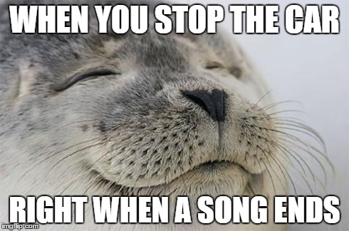 Satisfied Seal Meme | WHEN YOU STOP THE CAR RIGHT WHEN A SONG ENDS | image tagged in memes,satisfied seal,AdviceAnimals | made w/ Imgflip meme maker