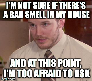 Afraid To Ask Andy (Closeup) Meme | I'M NOT SURE IF THERE'S A BAD SMELL IN MY HOUSE AND AT THIS POINT, I'M TOO AFRAID TO ASK | image tagged in and i'm too afraid to ask andy | made w/ Imgflip meme maker