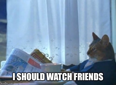 I Should Buy A Boat Cat | I SHOULD WATCH FRIENDS | image tagged in memes,i should buy a boat cat | made w/ Imgflip meme maker