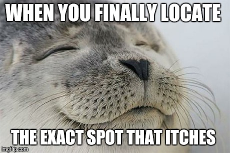 Satisfied Seal | WHEN YOU FINALLY LOCATE THE EXACT SPOT THAT ITCHES | image tagged in memes,satisfied seal,AdviceAnimals | made w/ Imgflip meme maker